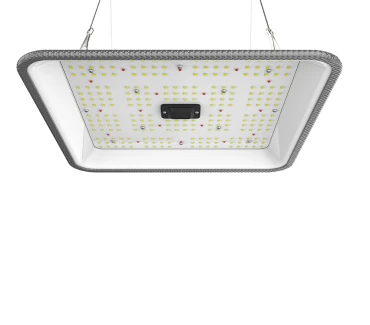 ORTOLED-90-FC-60W - ORTOLED - QUANTUM FULL CYCLE 60W 2.7 | 60W SAMSUNG