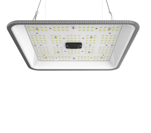 ORTOLED-90-FC-60W - ORTOLED - QUANTUM FULL CYCLE 60W 2.7 | 60W SAMSUNG