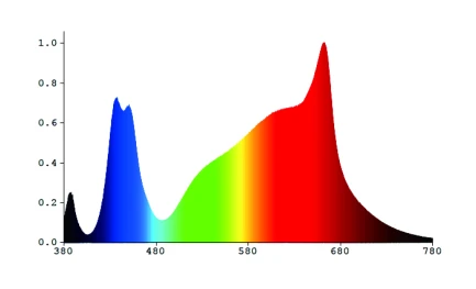 ORTOLED BASESTAR 240