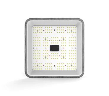 Ortoled FC 60W Samsung