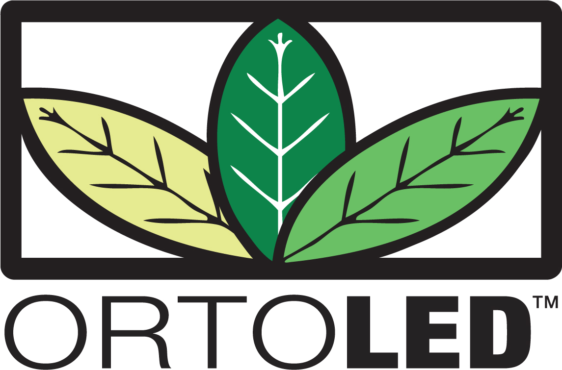 ORTOLED