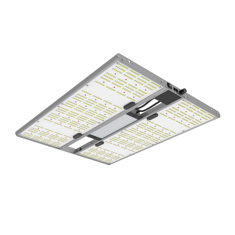 ORTOLED Quantum Board EVO 320W
