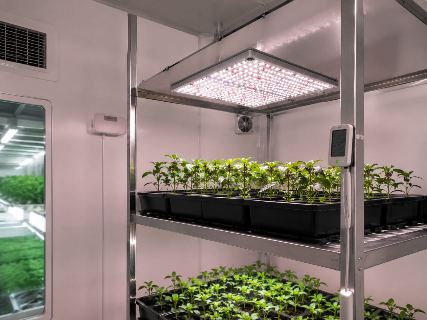 Camera climatica con giovani piante sotto pannello LED ORTOLED