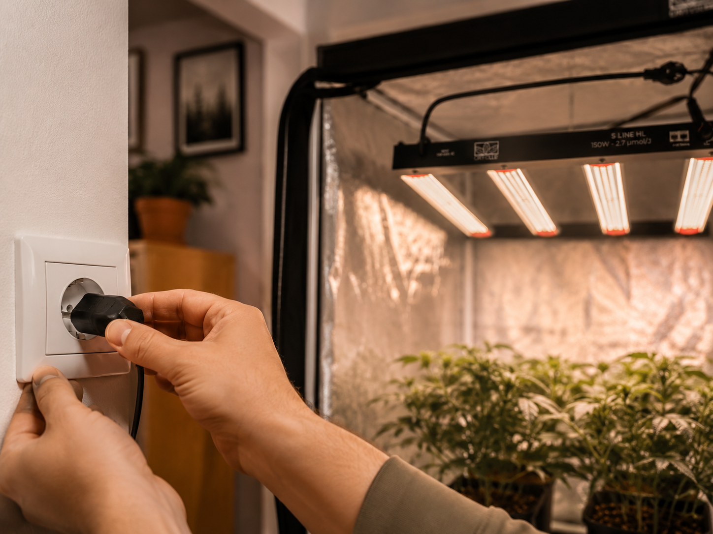 Mano che collega la spina della lampada ORTOLED S-Line HL alla presa di corrente accanto alla grow tent