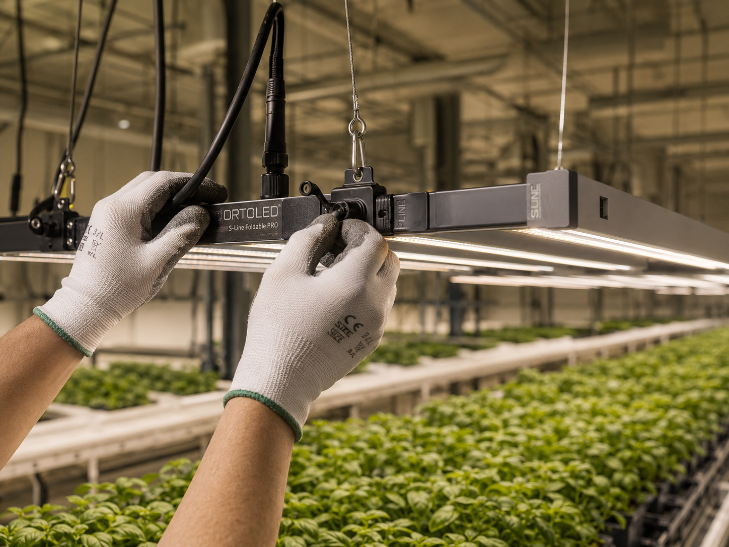 Tecnico che ispeziona una lampada ORTOLED in una grow room professionale, garanzia e assistenza tecnica