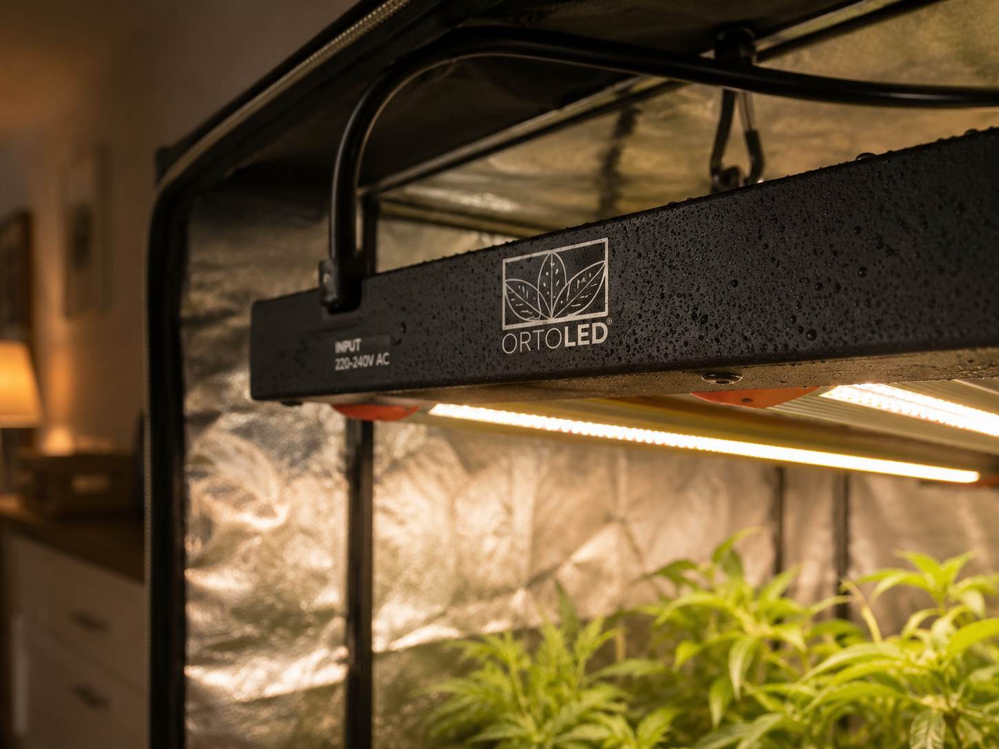 Gocce d'acqua sulla lampada ORTOLED S-Line HL, resistente e sicura anche in ambienti domestici