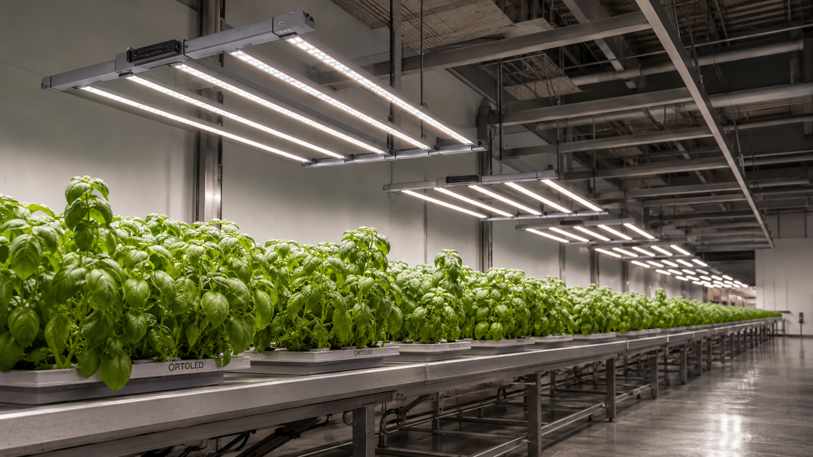 Dettaglio installazione di più lampade ORTOLED S-Line Foldable su rail in una grow room professionale