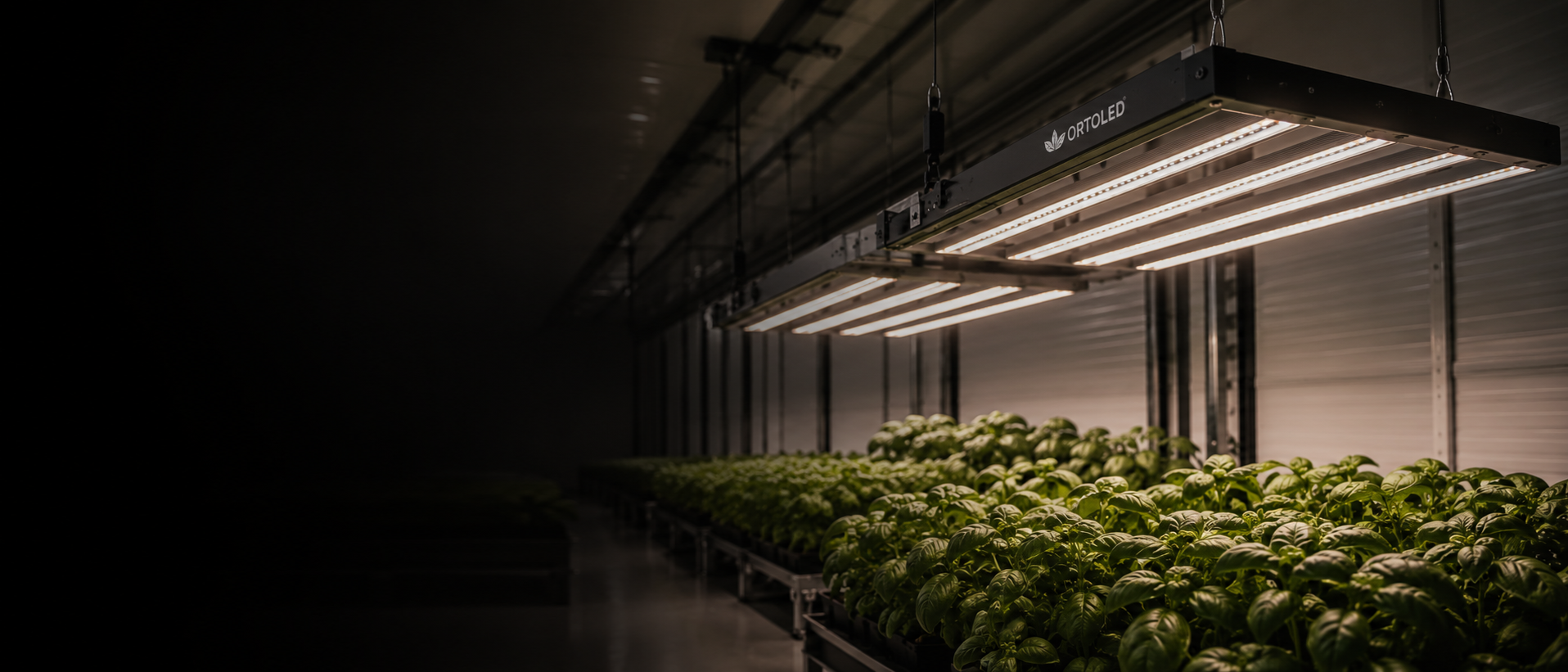 Grow room ORTOLED