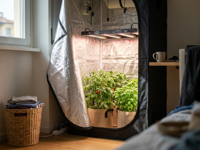 Dettaglio installazione barra LED ORTOLED S-Line HL in una grow tent domestica