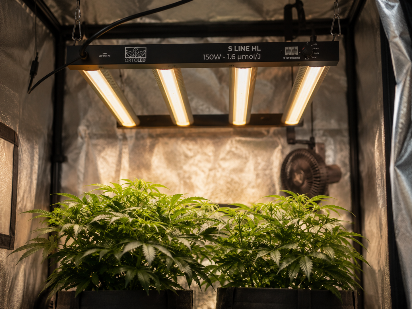 Lichtspektrum einer Full-Spectrum-LED-Growlampe
